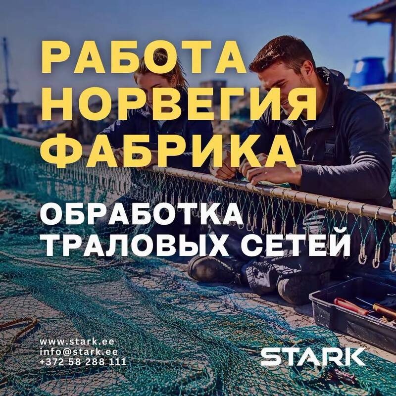 Work on fish factory 