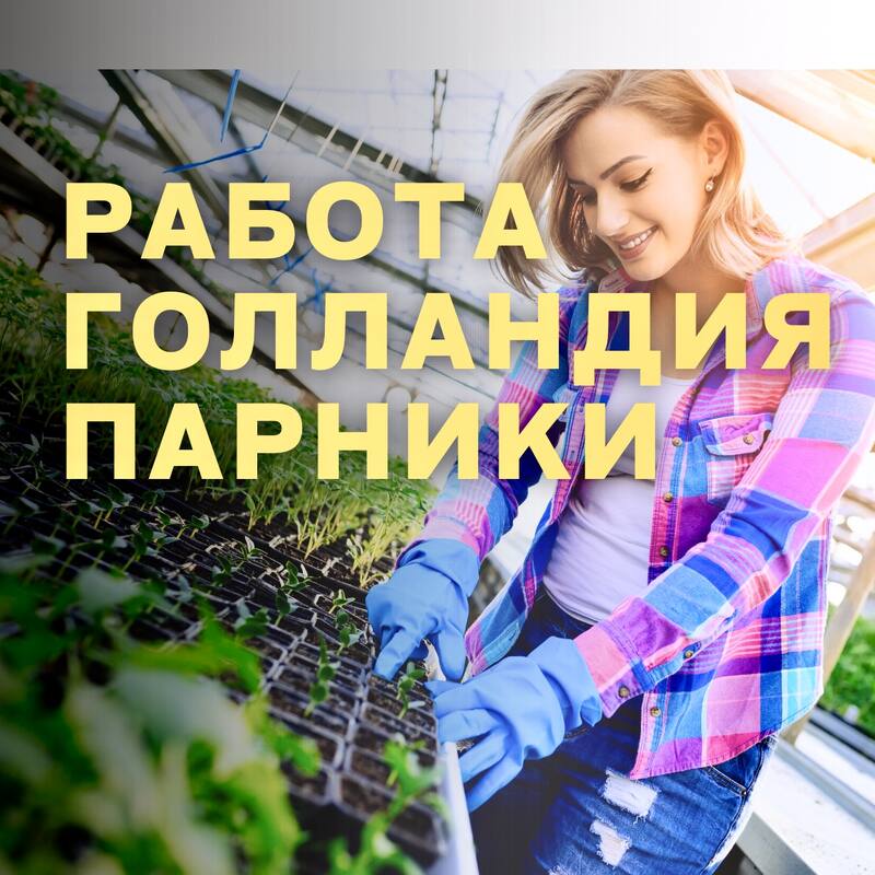 Greenhouse worker